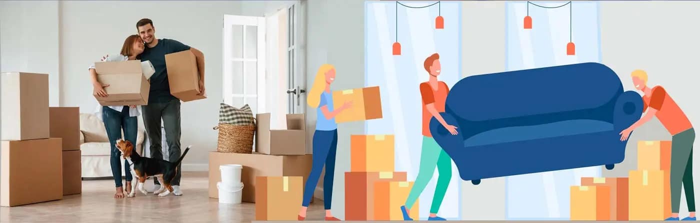 vivienda-nueva-vivienda-usada