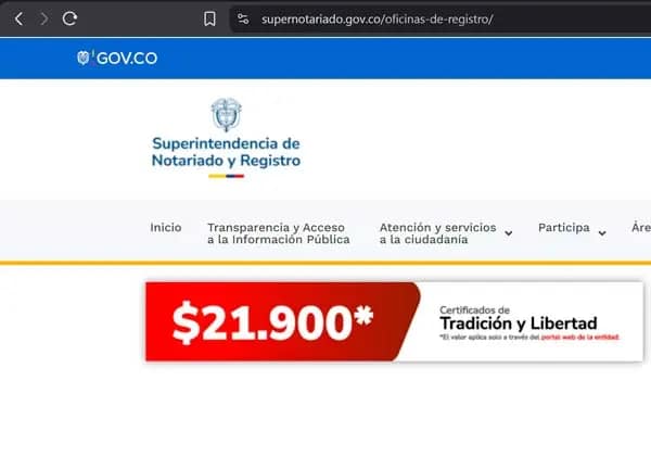 certificado2025
